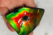 Load image into Gallery viewer, AAA+ Ammolite gemstone with dinasour bite