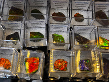 Load image into Gallery viewer, AMMOLITE specimen collectibles
