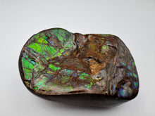 Load image into Gallery viewer, ammolite palm stone specimen