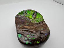 Load image into Gallery viewer, ammolite palm stone specimen