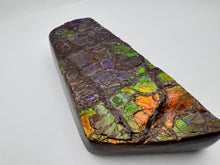 Load image into Gallery viewer, dragon scale ammolite fossil