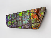 Load image into Gallery viewer, dragon scale ammolite fossil