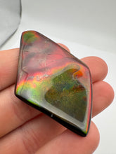 Load image into Gallery viewer, imperial polished ammolite