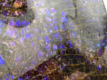 Load image into Gallery viewer, dragon skin ammolite free form