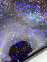 Load image into Gallery viewer, dragon skin ammolite free form