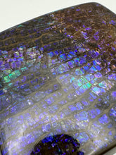 Load image into Gallery viewer, dragon skin ammolite free form