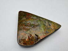 Load image into Gallery viewer, ammolite freeform palm stone fossil