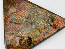 Load image into Gallery viewer, ammolite freeform palm stone fossil