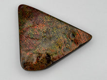 Load image into Gallery viewer, ammolite freeform palm stone fossil
