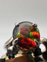 Load image into Gallery viewer, ammolite silver ring