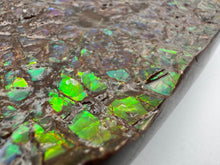 Load image into Gallery viewer, ammolite fossil specimen