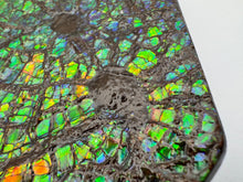 Load image into Gallery viewer, ammolite fossil specimen