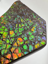 Load image into Gallery viewer, ammolite fossil specimen