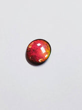 Load image into Gallery viewer, Ammolite calibrated triplet 14x12mm cabochon (x33)