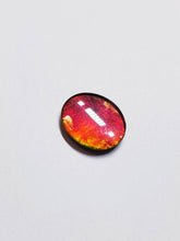 Load image into Gallery viewer, Ammolite calibrated triplet 14x12mm cabochon (x33)