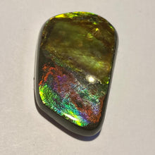 Load image into Gallery viewer, Beautiful bright flash in multicoloured ammolite gemstone 40x24 mm