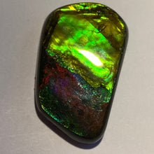 Load image into Gallery viewer, Beautiful bright flash in multicoloured ammolite gemstone 40x24 mm