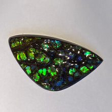 Load image into Gallery viewer, Green /blue/aqua specks of gold dragon skin ammolite