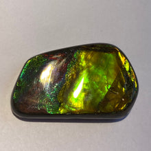 Load image into Gallery viewer, Beautiful bright flash in multicoloured ammolite gemstone 40x24 mm