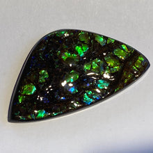 Load image into Gallery viewer, Green /blue/aqua specks of gold dragon skin ammolite