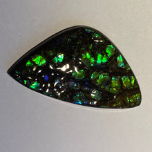Load image into Gallery viewer, Green /blue/aqua specks of gold dragon skin ammolite