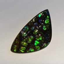 Load image into Gallery viewer, Green /blue/aqua specks of gold dragon skin ammolite