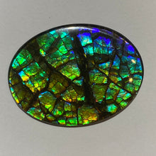 Load image into Gallery viewer, AAA+ ammolite calibrated cabochon with dragon skin patter august blue colours and fire in between scales. 40x30 mm low dome quartz cap