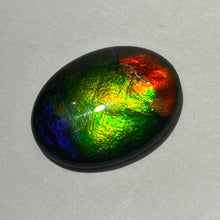 Load image into Gallery viewer, AAA ammolite calibrated cabochon. Beautiful red green and blue colours 20x15 mm high dome quartz cap