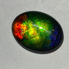 Load image into Gallery viewer, AAA ammolite calibrated cabochon. Beautiful red green and blue colours 20x15 mm high dome quartz cap