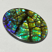 Load image into Gallery viewer, AAA+ ammolite calibrated cabochon with dragon skin patter august blue colours and fire in between scales. 40x30 mm low dome quartz cap