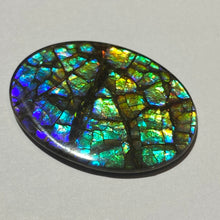 Load image into Gallery viewer, AAA+ ammolite calibrated cabochon with dragon skin patter august blue colours and fire in between scales. 40x30 mm low dome quartz cap