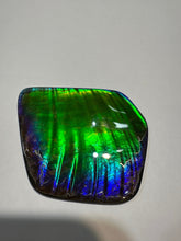 Load image into Gallery viewer, Beautiful hand-polished Ammolite with vibrant greens and blues