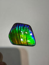 Load image into Gallery viewer, Beautiful hand-polished Ammolite with vibrant greens and blues