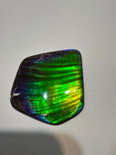 Load image into Gallery viewer, Beautiful hand-polished Ammolite with vibrant greens and blues