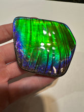 Load image into Gallery viewer, Beautiful hand-polished Ammolite with vibrant greens and blues