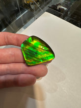 Load image into Gallery viewer, Beautiful hand-polished Ammolite with vibrant greens and yellows