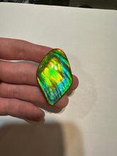 Load image into Gallery viewer, Beautiful hand-polished Ammolite with vibrant blues and greens