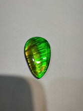 Load image into Gallery viewer, Beautiful hand-polished Ammolite with vibrant yellows and greens