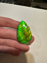 Load image into Gallery viewer, Beautiful hand-polished Ammolite with vibrant yellows and greens