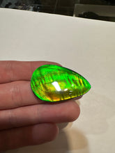 Load image into Gallery viewer, Beautiful hand-polished Ammolite with vibrant yellows and greens