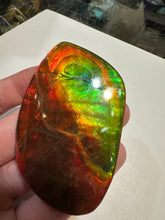 Load image into Gallery viewer, Beautiful Red and Green Two Sided Hand Polished Ammolite