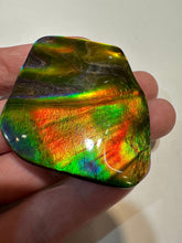 Load image into Gallery viewer, Beautiful Hand Polished Ammolite with Multiple Vibrant Colours