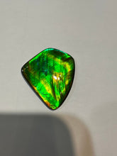 Load image into Gallery viewer, Beautiful hand-polished Ammolite with vibrant greens and yellows