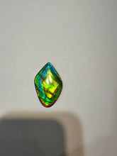 Load image into Gallery viewer, Beautiful hand-polished Ammolite with vibrant blues and greens