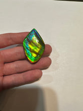 Load image into Gallery viewer, Beautiful hand-polished Ammolite with vibrant blues and greens