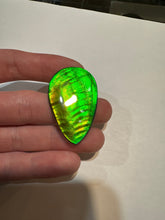 Load image into Gallery viewer, Beautiful hand-polished Ammolite with vibrant yellows and greens