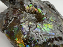 Load and play video in Gallery viewer, ammonite ammolite fossil