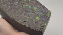 Load and play video in Gallery viewer, ammolite fossil specimen