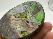 Load and play video in Gallery viewer, ammolite palm stone specimen