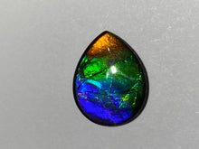 Load image into Gallery viewer, Rainbow ammolite gemstone